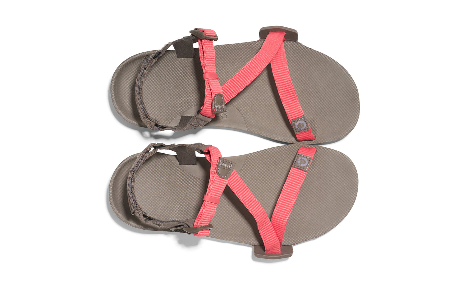 Pre-Order: Xero - Z Trail EV - Women’s Sandal